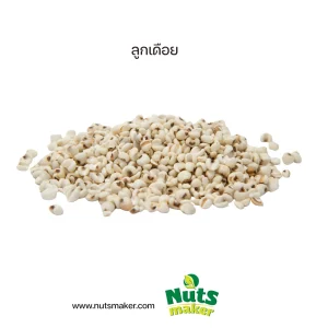 ลูกเดือย